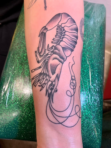 Explore simple mushroom tattoo ideas, creative tattoo ideas in Albuquerque, available at Holy Fool Tattoo Club