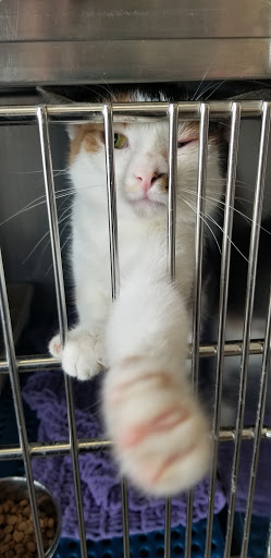 Pet Supply Store «Petsense Rome», reviews and photos, 2511 Redmond Cir, Rome, GA 30165, USA