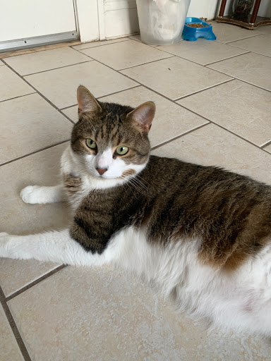 Pet Supply Store «Petco Animal Supplies», reviews and photos, 1060 U.S. 9, Parlin, NJ 08859, USA