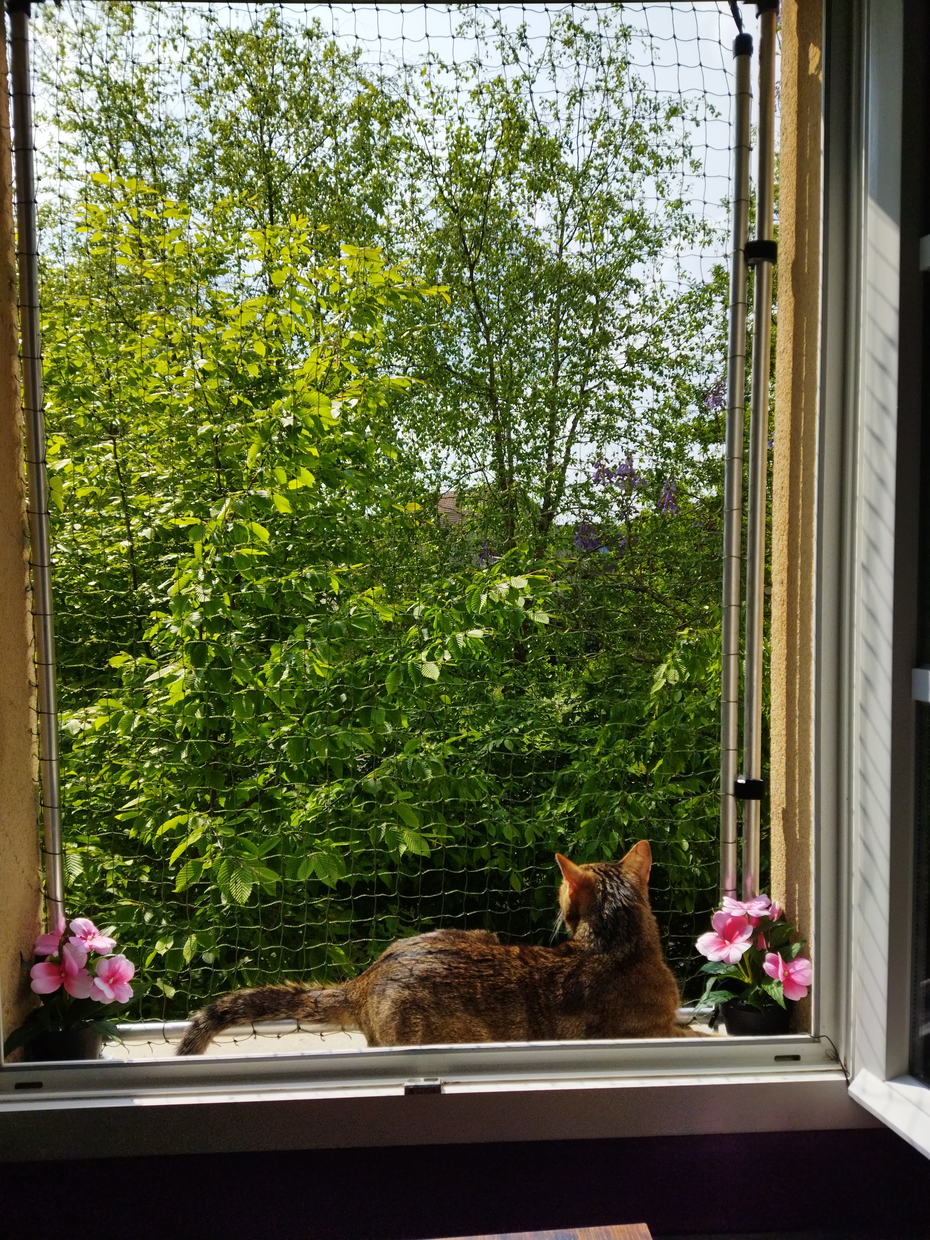 Photo n° 1 de l'avis de Armel.O fait le 14/05/2023 à 18:04