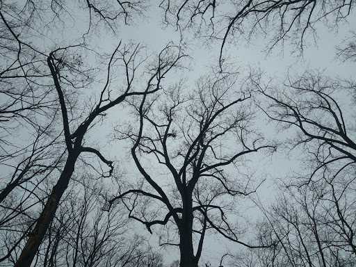 Park «Double Rock Park», reviews and photos, 8211 Glen Rd, Parkville, MD 21234, USA