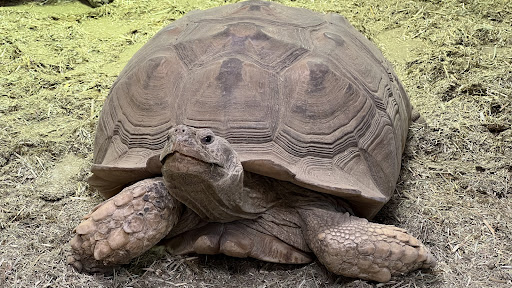 Reptile Store «Nature Box Pet Emporium», reviews and photos, 13722 E Quincy Ave, Aurora, CO 80015, USA