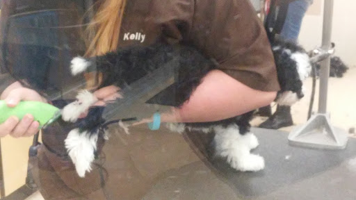 Pet Supply Store «Petco Animal Supplies», reviews and photos, 17200 Southcenter Pkwy #100, Tukwila, WA 98188, USA