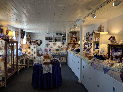 Gift Shop «Hidden Spring Lavender Farm and Gift Shoppe», reviews and photos, 890 Belle Mead-Blawenburg Rd, Skillman, NJ 08558, USA