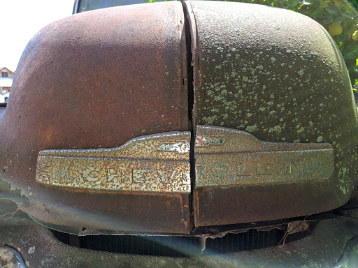 Winery «Cedar Creek Winery & Brew Co.», reviews and photos, 3820 Leonard Rd, Martinsville, IN 46151, USA