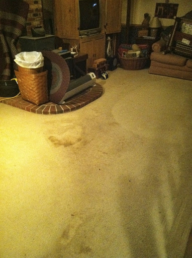Carpet Cleaning Service «Organic Dry Carpet Cleaning», reviews and photos, 1418 E Washington St, Phoenix, AZ 85034, USA
