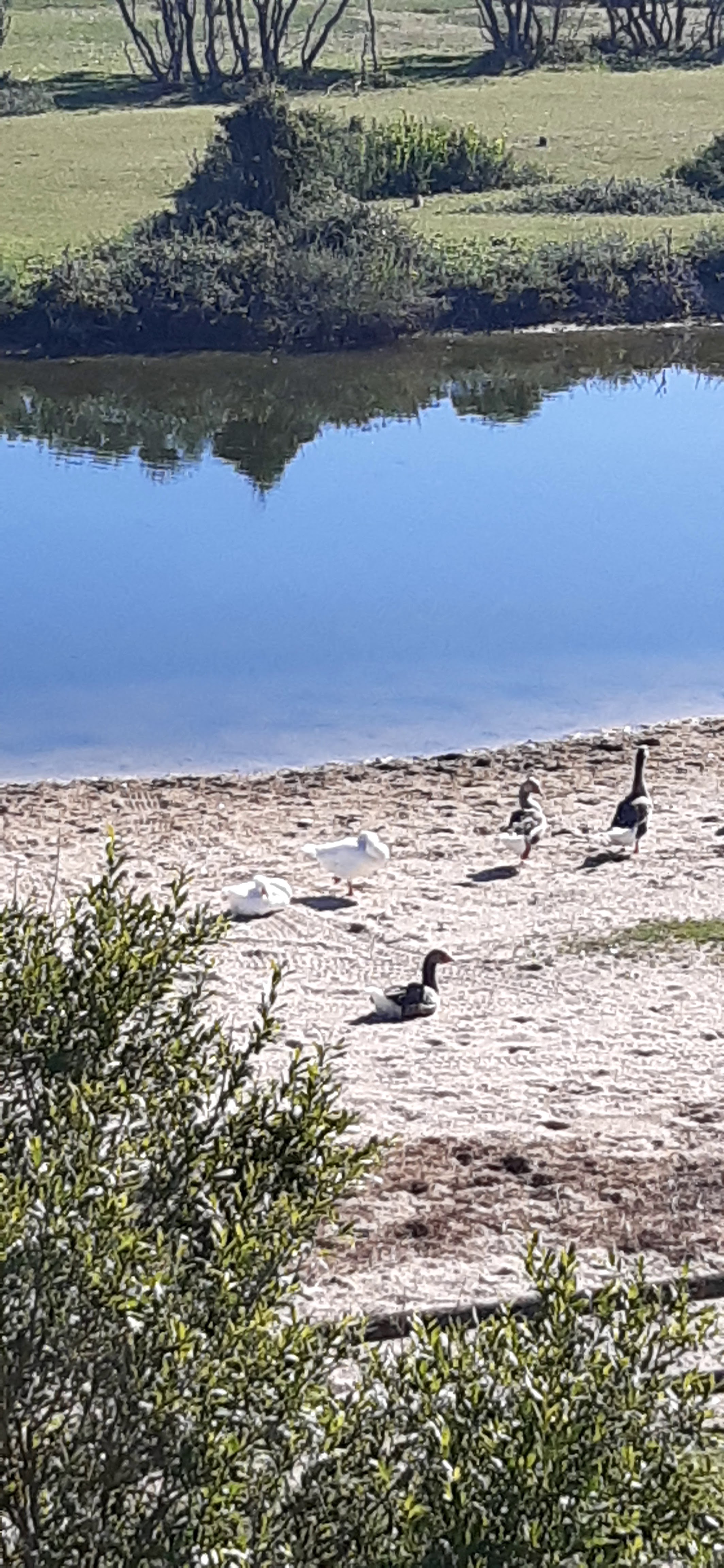 Photo n° 2 de l'avis de Gilles.u fait le 19/07/2020 à 11:41