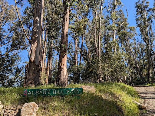 Albany Hill Park image