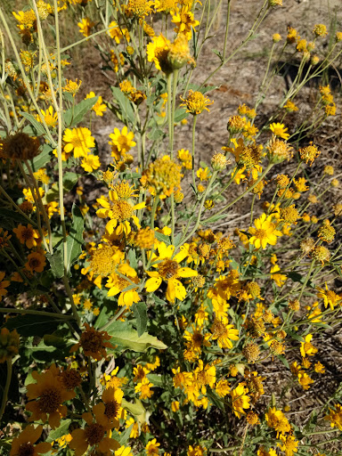 Nature Preserve «Morrison Nature Center», reviews and photos, 16002 E Smith Rd, Aurora, CO 80011, USA