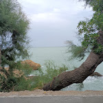 Photo n°12 de l'avis de a.e fait le 29/08/2023 à 08:23 sur le  Il Corsaro à Vasto