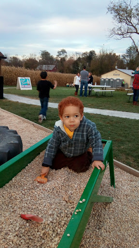 Tourist Attraction «Oregon Dairy Corn Maze», reviews and photos, 1289 Creek Rd, Lititz, PA 17543, USA