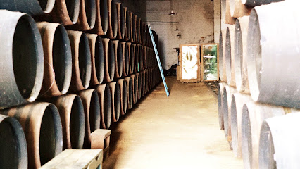 Bodega – Almocadén – Jerez de la Frontera