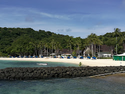 Palau Pacific Resort'in fotoğrafı otel alanı