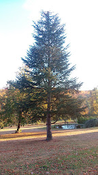 Photo n°4 de Le Palais à Le Palais-sur-Vienne ()