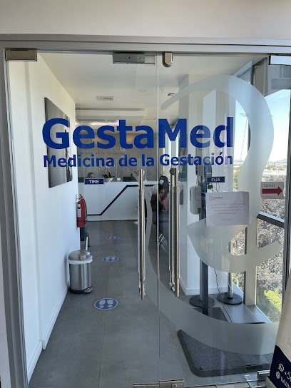 GestaMed Medicina de la gestación