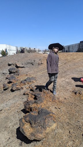 Park «Dinosaur Park», reviews and photos, 13100 Mid Atlantic Blvd, Laurel, MD 20708, USA