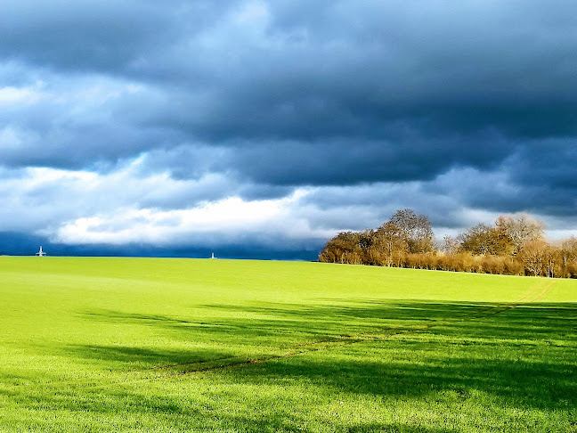 golfclub-hedwigsburg.de