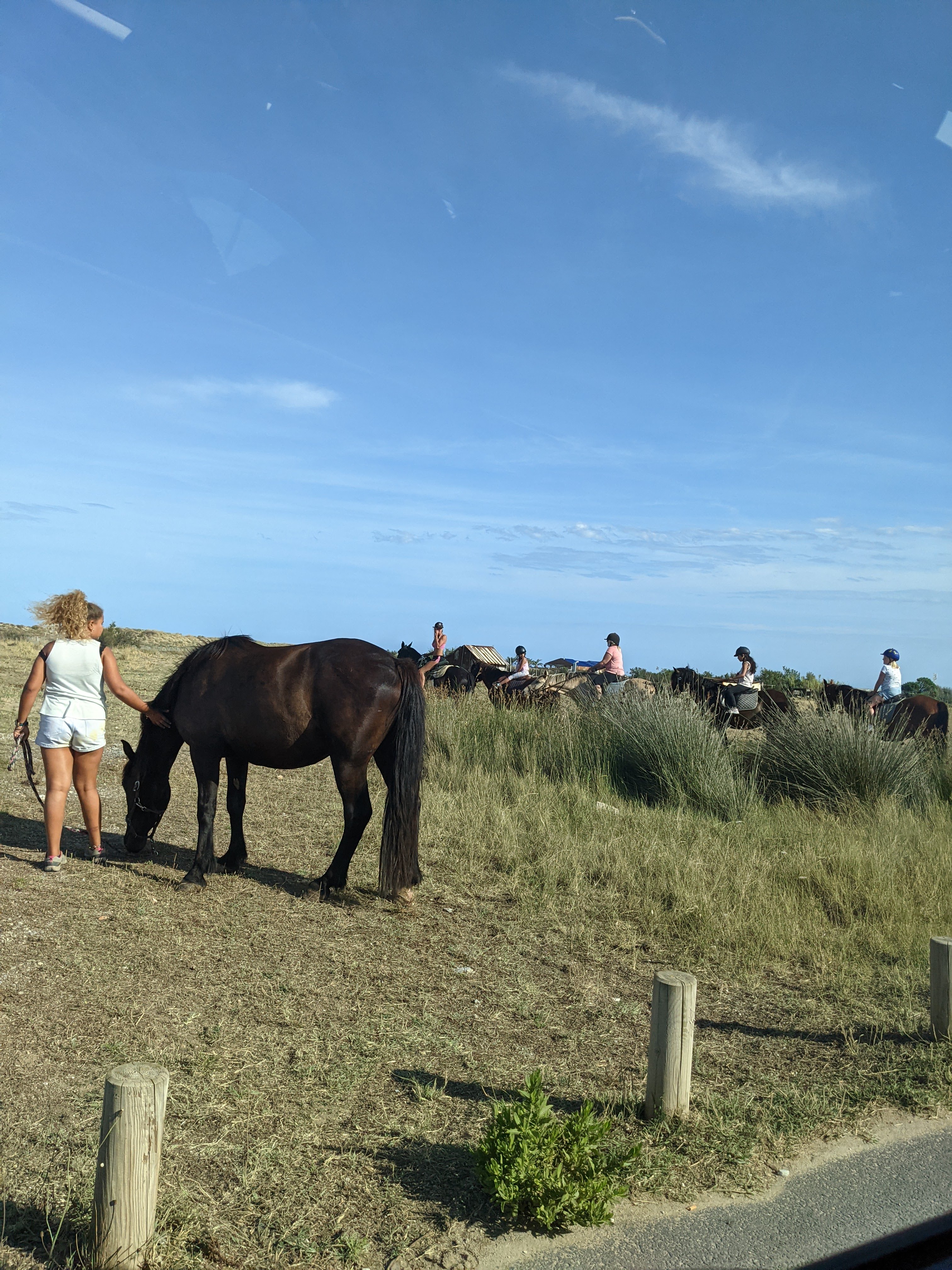 Photo n° 16 de l'avis de Mathis. fait le 06/08/2021 à 14:50