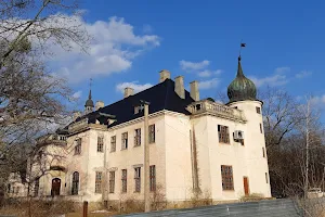 The hunting palace of Count Shuvalov image