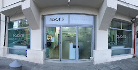 ROOTS Salon Concept
