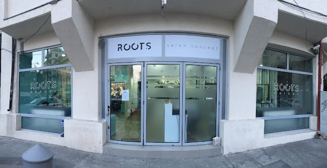 ROOTS Salon Concept