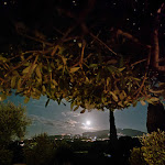 Photo n°4 de l'avis de Angelo.a fait le 05/07/2023 à 10:49 sur le  Tenuta Di Pietra Porzia Restaurant à Frascati