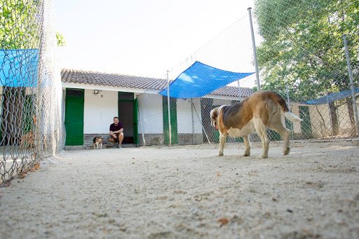 Guarderías caninas y cuidadores de mascotas en Villanueva de la Cañada de 2024