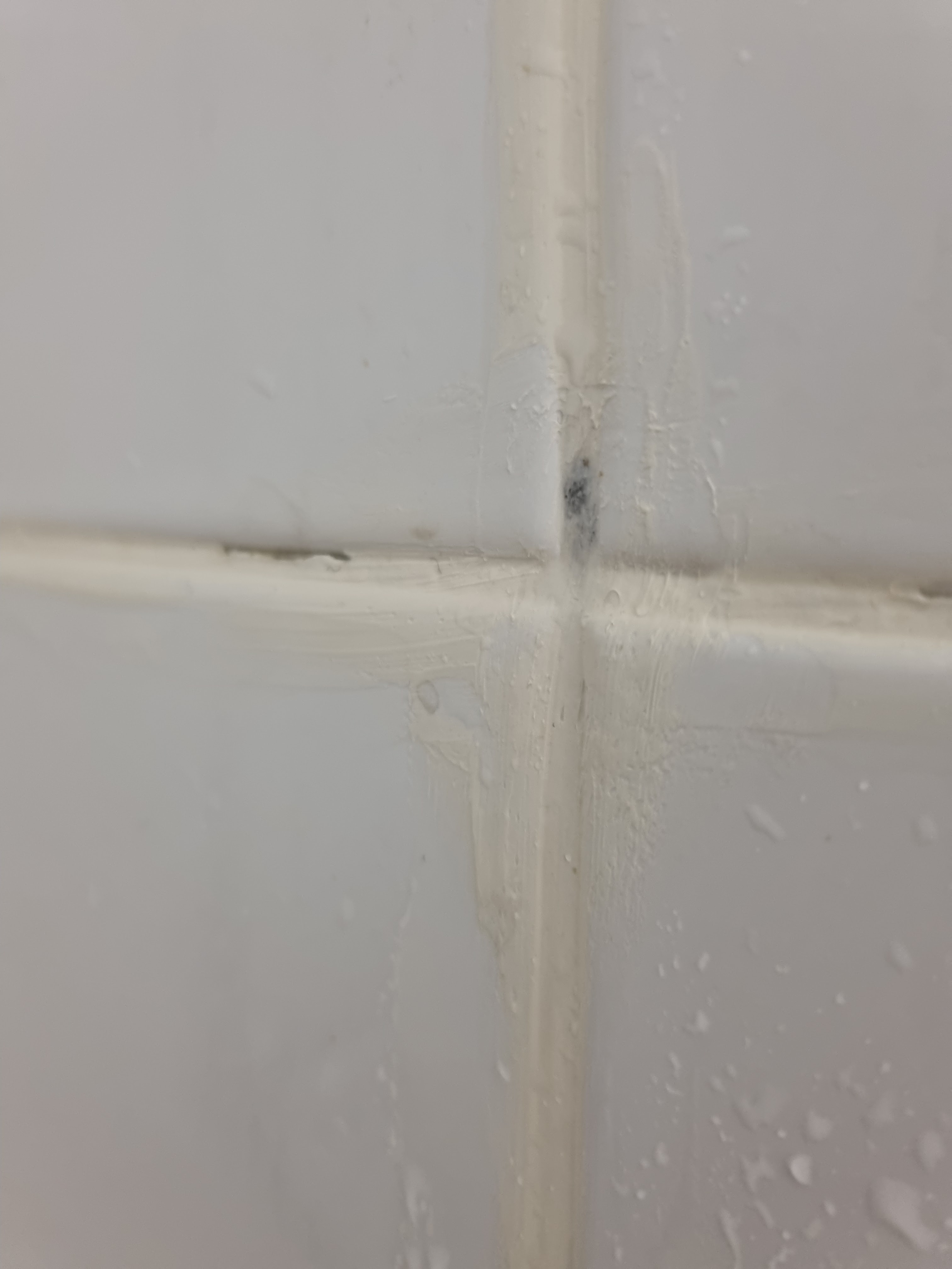 Photo n° 3 de l'avis de pascal.A fait le 14/11/2022 à 22:09