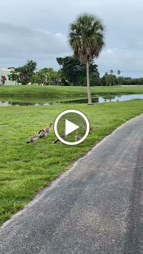 Public Golf Course «Bonaventure Golf Club», reviews and photos, 200 Bonaventure Blvd, Weston, FL 33326, USA