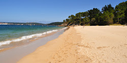 Praia Barreira'in fotoğrafı ve yerleşim