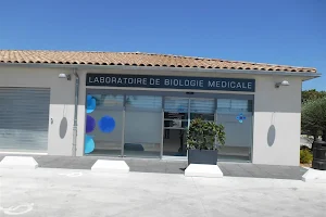 Medical Biology Laboratory - Cerballiance image