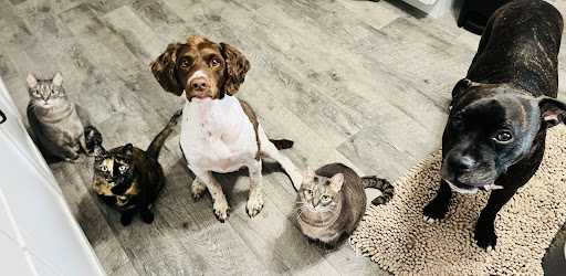 Harvest Valley Veterinary Services image