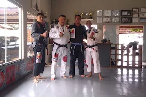 Higa Jiu Jitsu Clube image