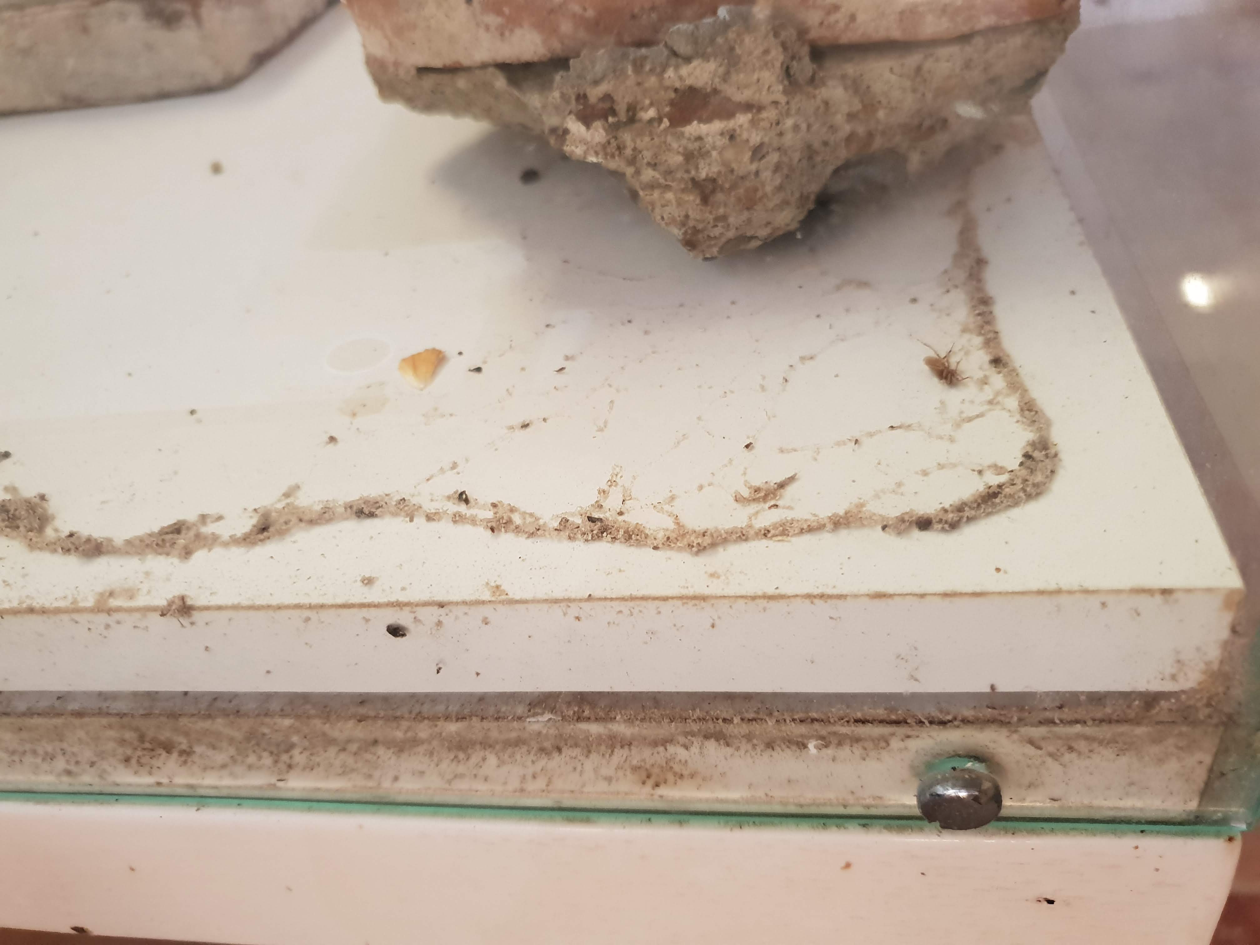Photo n° 1 de l'avis de BOUDELLAL.a fait le 14/07/2019 à 17:01