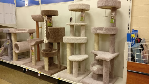 Pet Supply Store «PetSmart», reviews and photos, 2356 W State Rte 89A, Sedona, AZ 86336, USA
