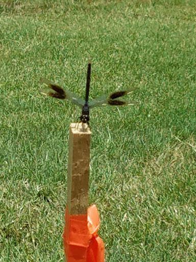 Park «Quanah Parker Park», reviews and photos, 5401 Randol Mill Rd, Fort Worth, TX 76103, USA