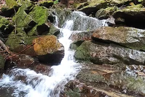 Narinetskyy Falls image