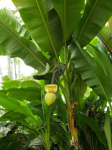 Aquarium «Toledo Zoo Aquarium», reviews and photos, 2700 Broadway St, Toledo, OH 43609, USA