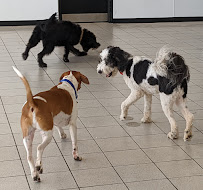 Baxter's Playhouse - Photo 4 - Car repair in Gastonia, NC, Gastonia