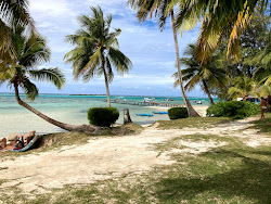 Foto von Plage des tipaniers von Klippen umgeben