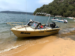 Gunyah Beach的照片 野外区域
