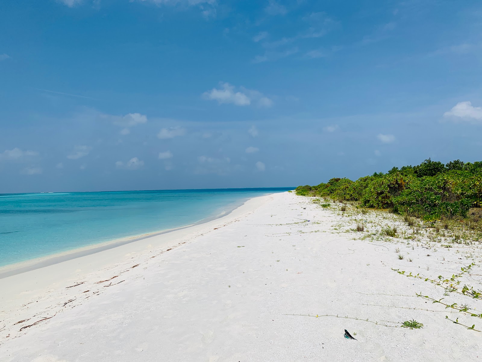 Photo of Fares Island Beach with bright sand surface