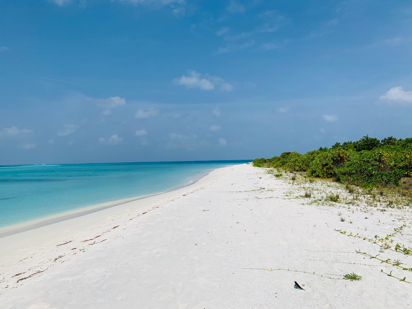 Foto di Fares Island Beach con una superficie del sabbia beige