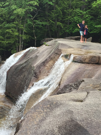 Garden «The Butterfly Place», reviews and photos, 120 Tyngsboro Rd, Westford, MA 01886, USA