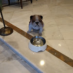 Photo n°1 de l'avis de R.o fait le 15/02/2024 à 13:46 sur le  Hotel Lisboa Plaza - Avenida, a Lisbon Heritage Collection à Lisbon