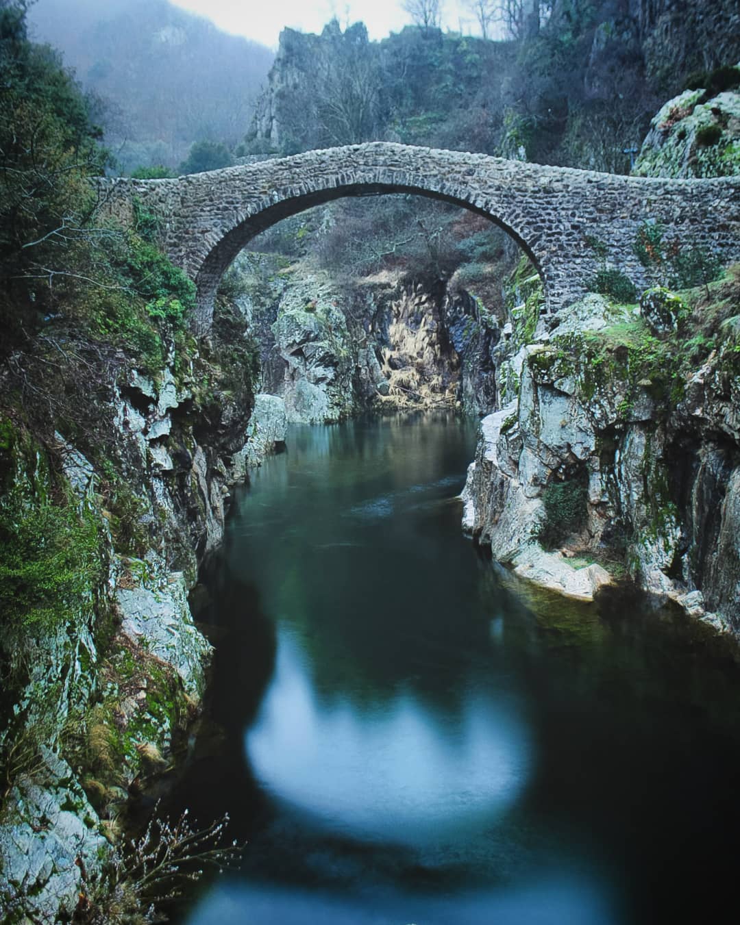 Photo n° 4 de l'avis de Nature.n fait le 15/03/2018 à 06:55