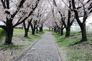Nishitagawa Park image