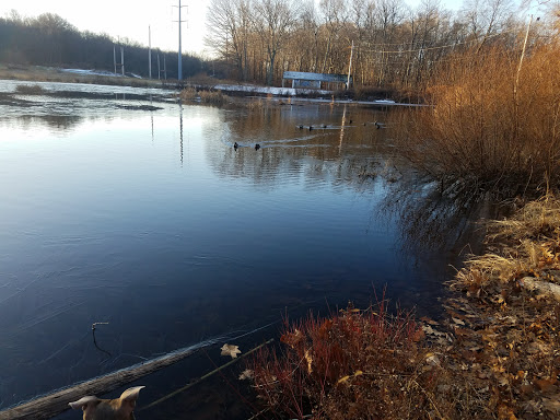 Park «Eisenhower Park», reviews and photos, 780 North St, Milford, CT 06461, USA