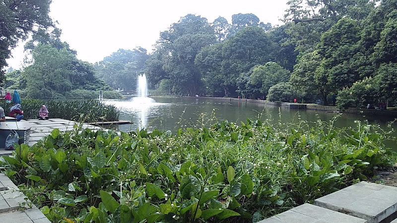 Danau Gunting Kebun Raya Bogor