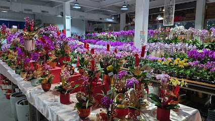 Jiang He Flower Market